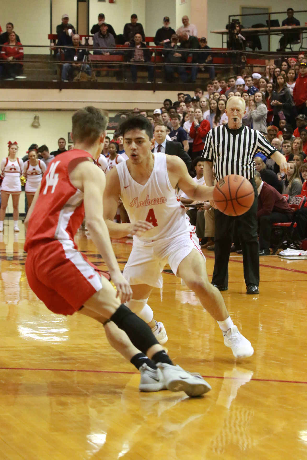 Gallery: Class 2A boys basketball semistate: Andrean vs Frankton